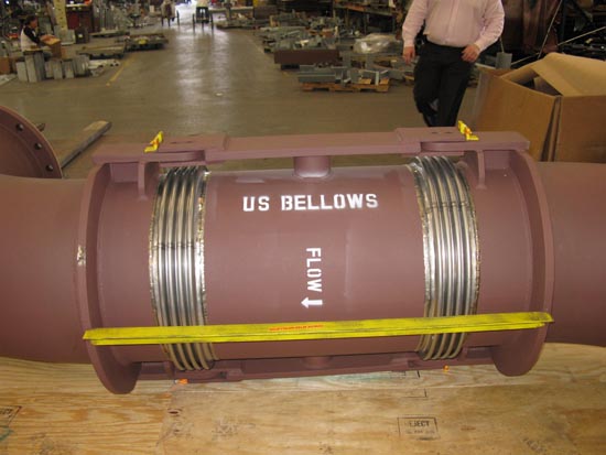 Double hinged expansion joint